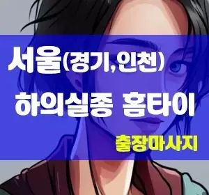 서울,인천,경기-하의실종홈타이