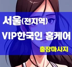 서울-VIP한국인홈케어